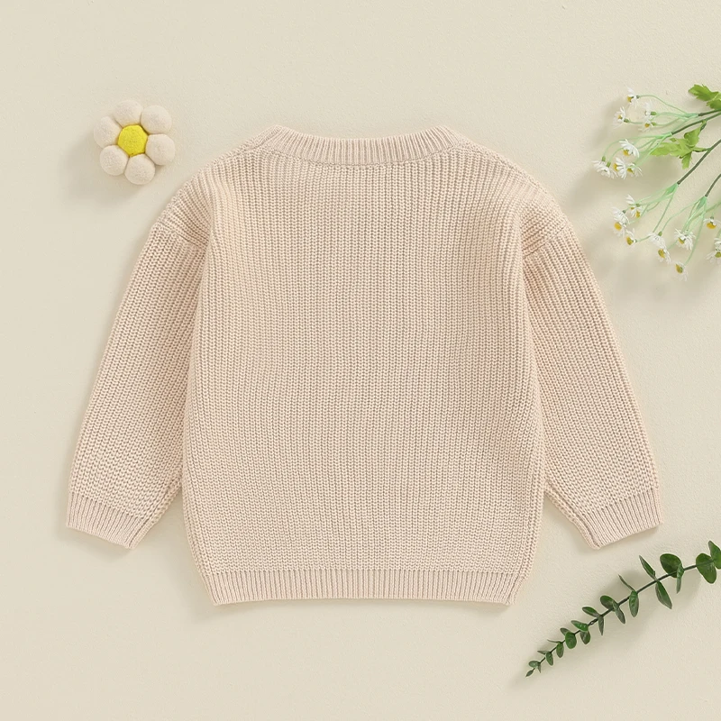 2024-05-15 Lioraitiin Baby Girl Sweaters Cute Long Sleeve Letter Embroidery Knit Pullover Toddler Loose Tops