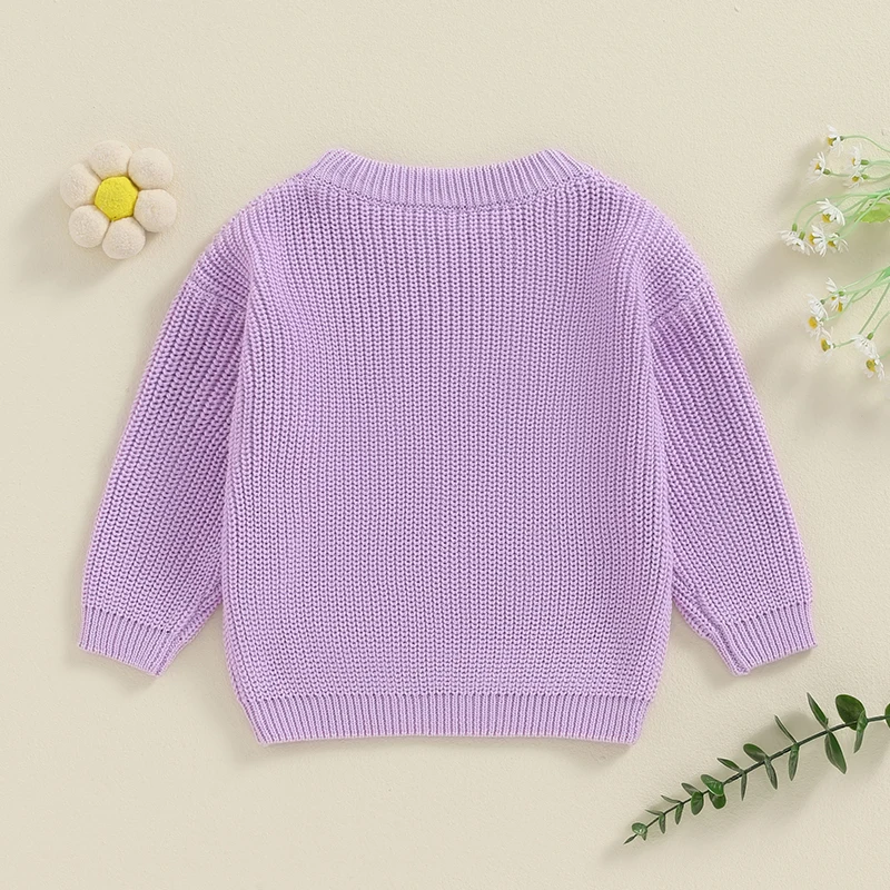 2024-05-15 Lioraitiin Baby Girl Sweaters Cute Long Sleeve Letter Embroidery Knit Pullover Toddler Loose Tops