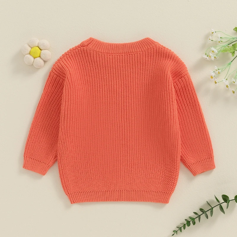 2024-05-15 Lioraitiin Baby Girl Sweaters Cute Long Sleeve Letter Embroidery Knit Pullover Toddler Loose Tops