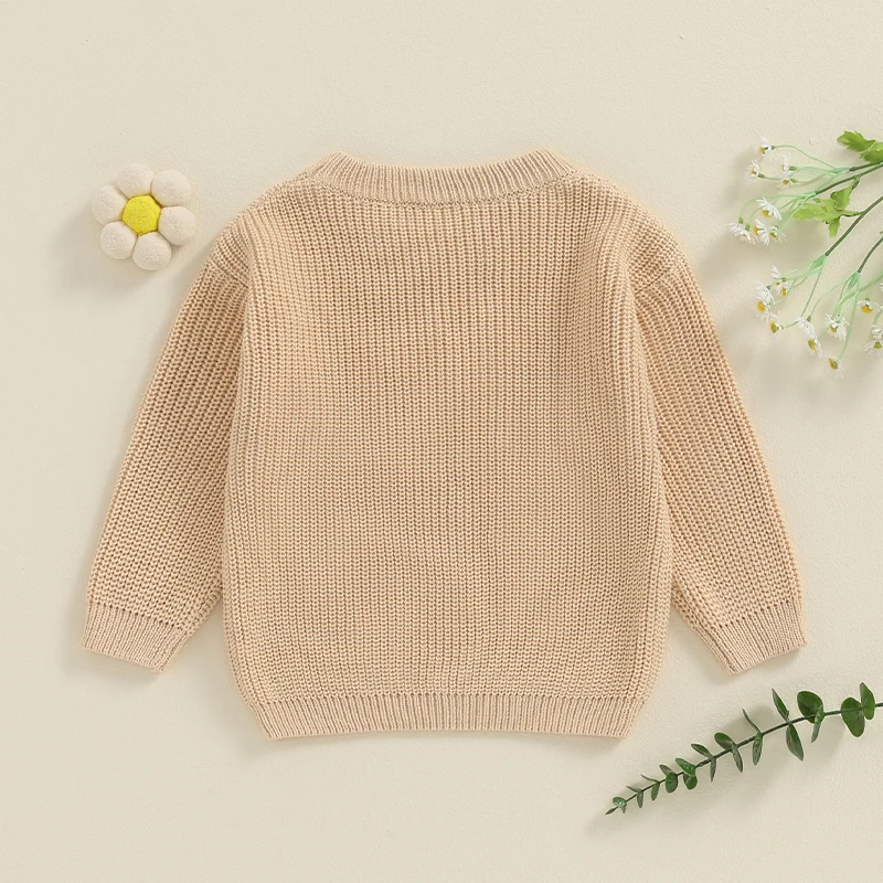 2024-05-15 Lioraitiin Baby Girl Sweaters Cute Long Sleeve Letter Embroidery Knit Pullover Toddler Loose Tops