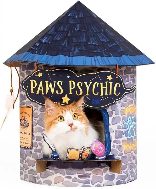 Psychic House