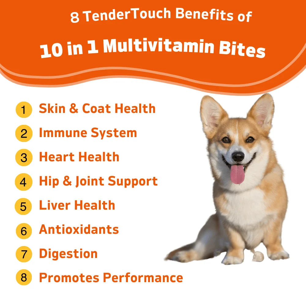 360 Chews - 3 Pack (3 x 180g/6.35oz) 540g/19.1oz - TenderTouch Multivitamin Dog Supplement, Digestive Enzymes, Grain Free Dog