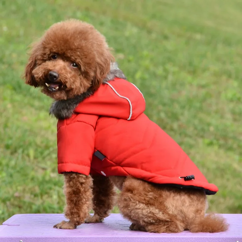 Cozy Dog Winter Coat Windproof Dog Jacket Cold Weather Cat Apparel with Hooded for Small Medium Dogs Cats