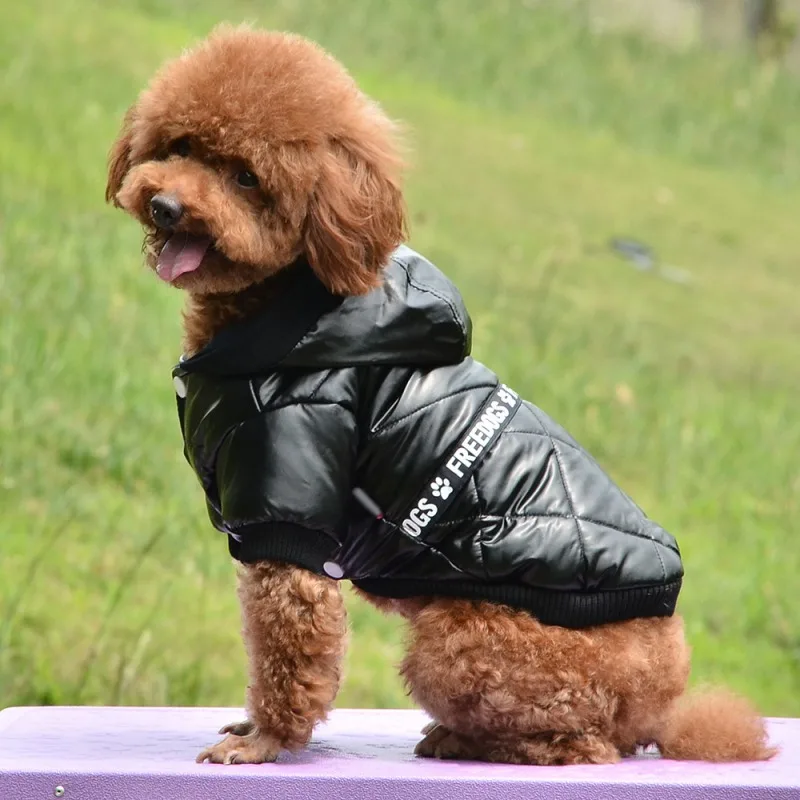 Cozy Dog Winter Coat Windproof Dog Jacket Cold Weather Cat Apparel with Hooded for Small Medium Dogs Cats