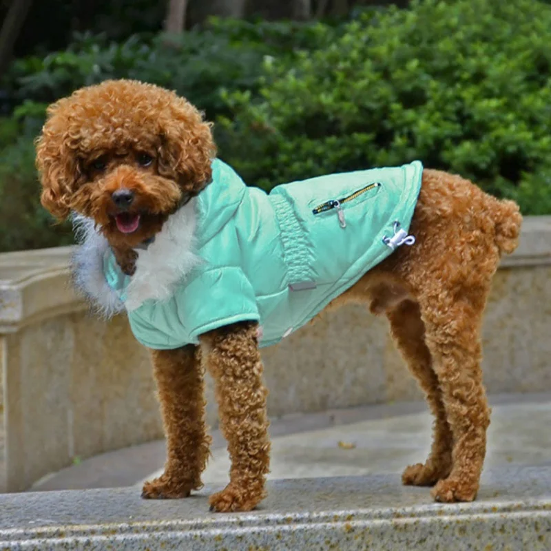 Cozy Dog Winter Coat Windproof Dog Jacket Cold Weather Cat Apparel with Hooded for Small Medium Dogs Cats