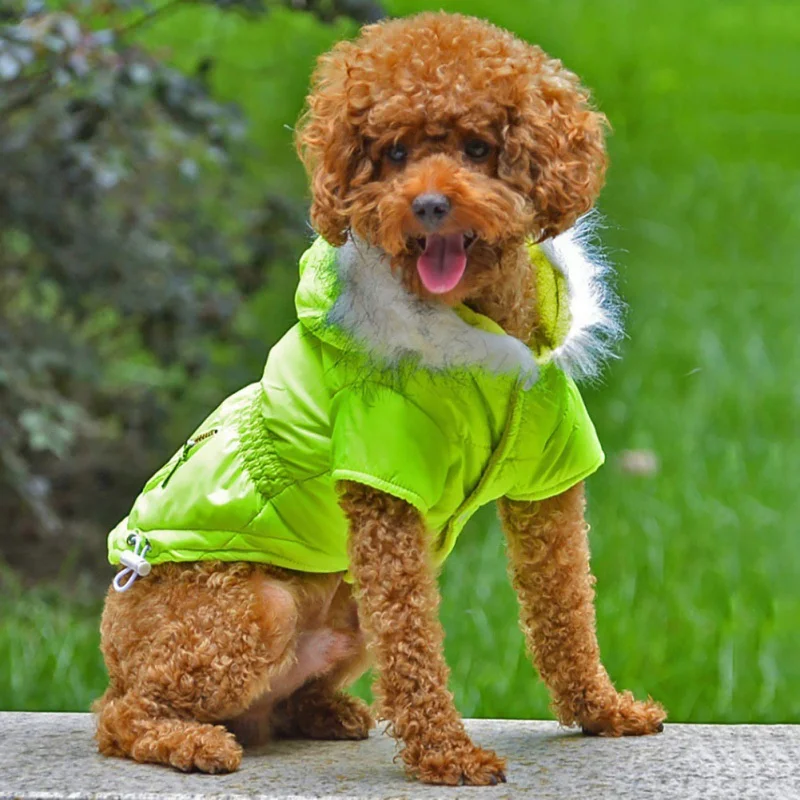 Cozy Dog Winter Coat Windproof Dog Jacket Cold Weather Cat Apparel with Hooded for Small Medium Dogs Cats