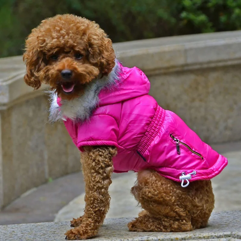 Cozy Dog Winter Coat Windproof Dog Jacket Cold Weather Cat Apparel with Hooded for Small Medium Dogs Cats