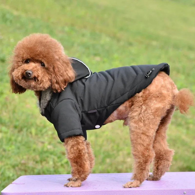 Cozy Dog Winter Coat Windproof Dog Jacket Cold Weather Cat Apparel with Hooded for Small Medium Dogs Cats