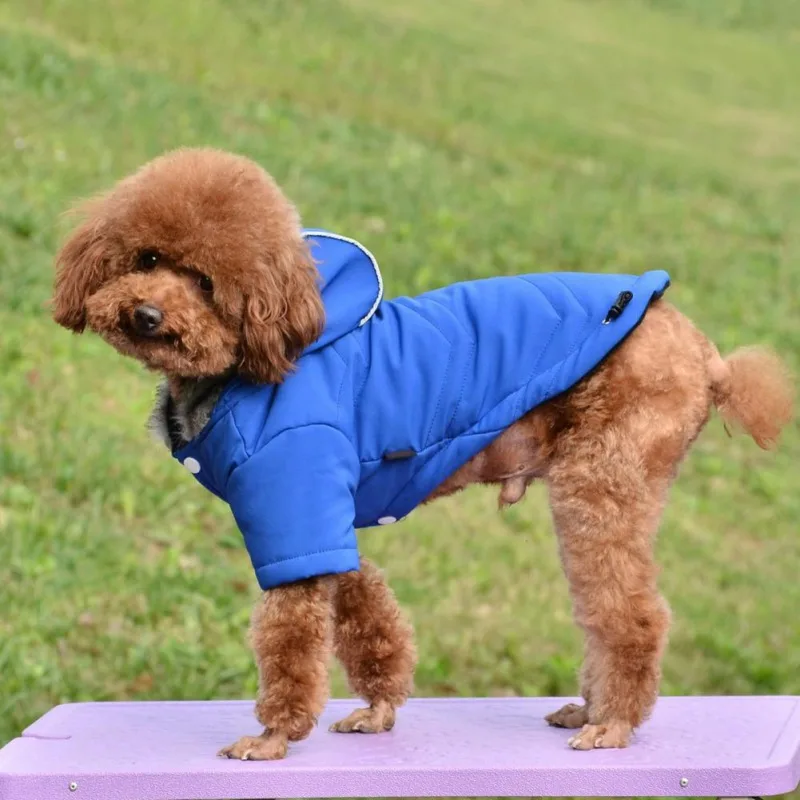 Cozy Dog Winter Coat Windproof Dog Jacket Cold Weather Cat Apparel with Hooded for Small Medium Dogs Cats