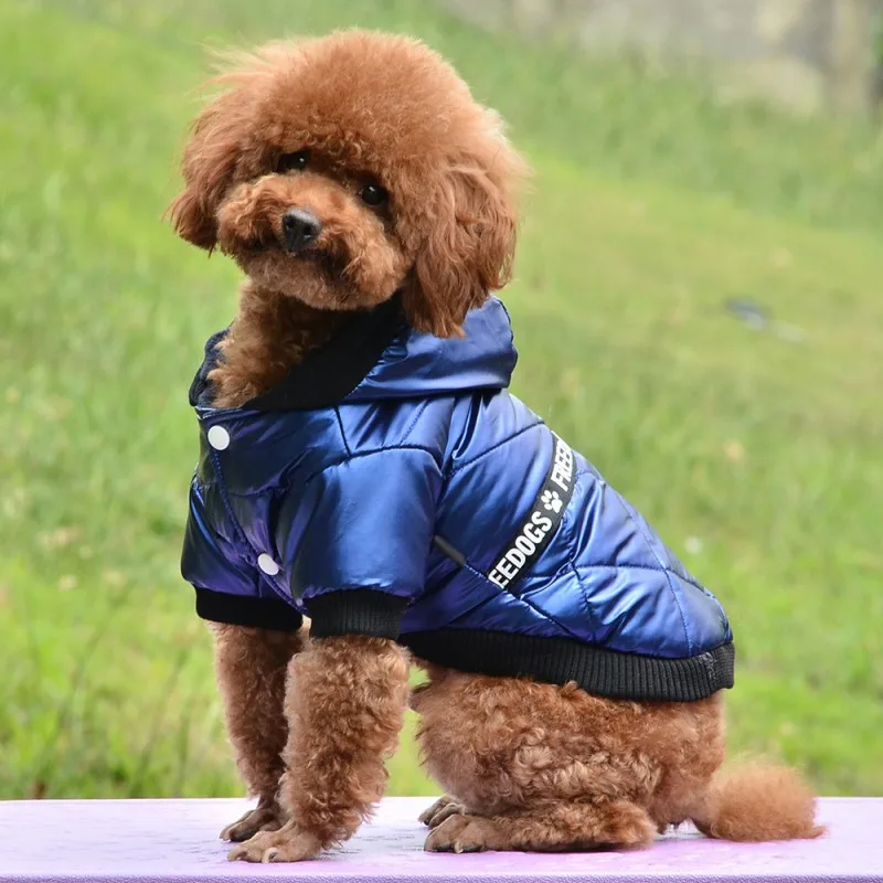 Cozy Dog Winter Coat Windproof Dog Jacket Cold Weather Cat Apparel with Hooded for Small Medium Dogs Cats