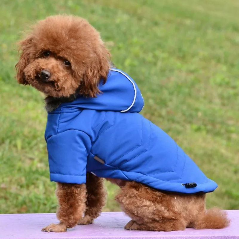 Cozy Dog Winter Coat Windproof Dog Jacket Cold Weather Cat Apparel with Hooded for Small Medium Dogs Cats