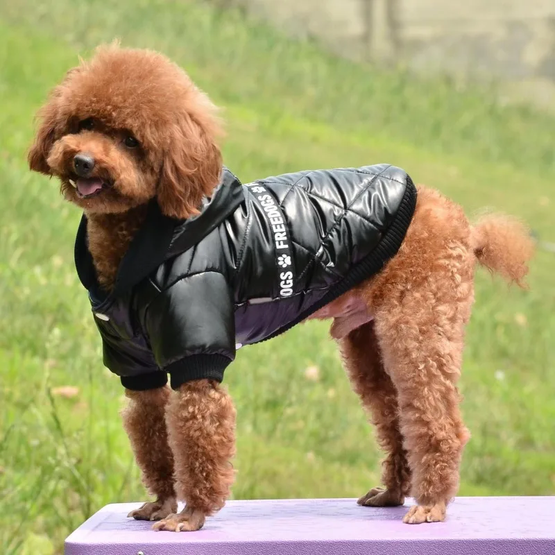 Cozy Dog Winter Coat Windproof Dog Jacket Cold Weather Cat Apparel with Hooded for Small Medium Dogs Cats