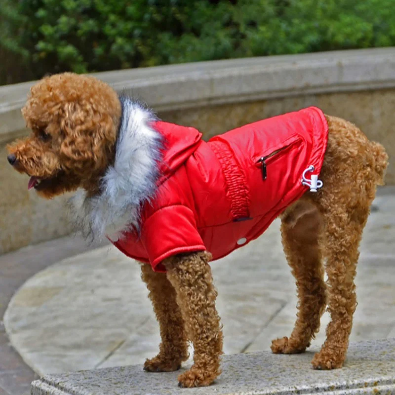 Cozy Dog Winter Coat Windproof Dog Jacket Cold Weather Cat Apparel with Hooded for Small Medium Dogs Cats