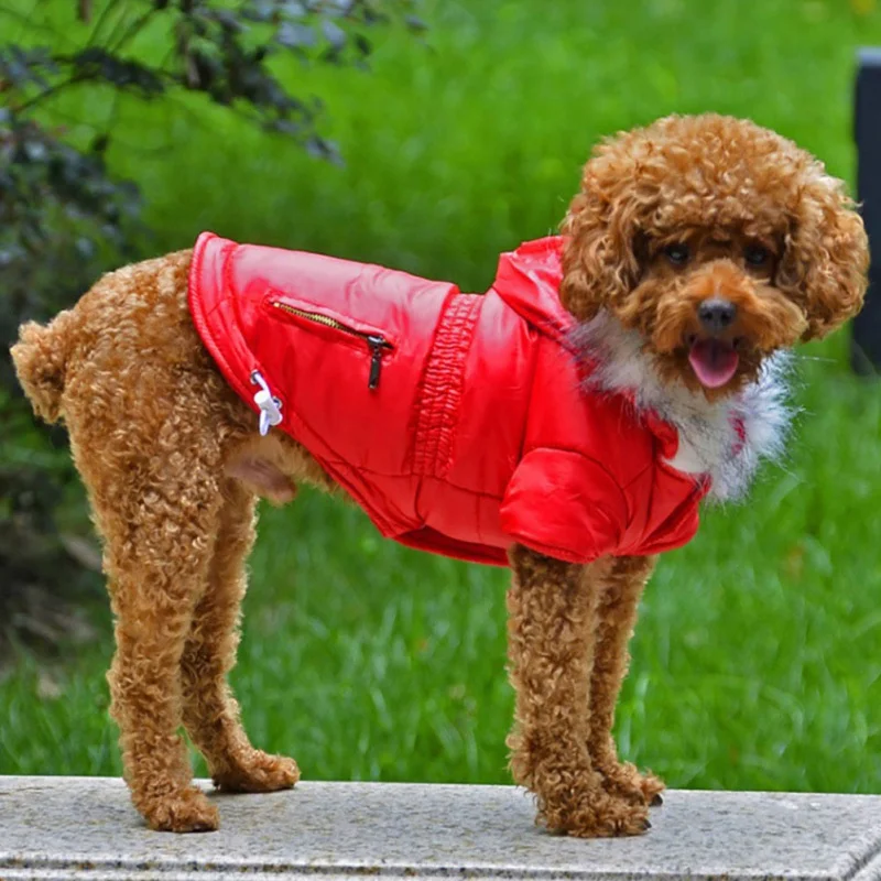 Cozy Dog Winter Coat Windproof Dog Jacket Cold Weather Cat Apparel with Hooded for Small Medium Dogs Cats