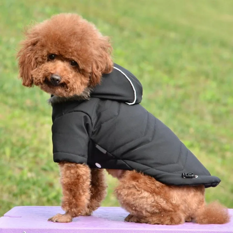 Cozy Dog Winter Coat Windproof Dog Jacket Cold Weather Cat Apparel with Hooded for Small Medium Dogs Cats