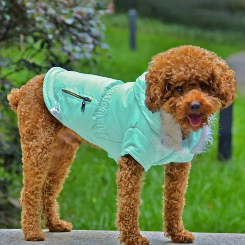 Cozy Dog Winter Coat Windproof Dog Jacket Cold Weather Cat Apparel with Hooded for Small Medium Dogs Cats