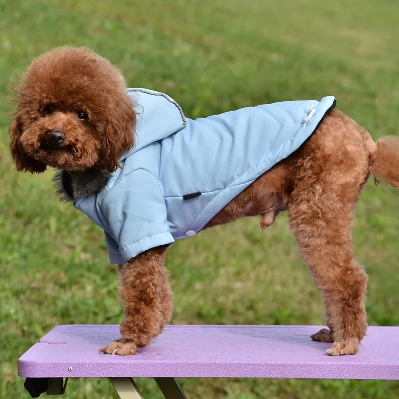 Cozy Dog Winter Coat Windproof Dog Jacket Cold Weather Cat Apparel with Hooded for Small Medium Dogs Cats