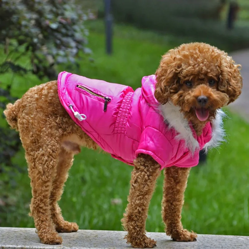 Cozy Dog Winter Coat Windproof Dog Jacket Cold Weather Cat Apparel with Hooded for Small Medium Dogs Cats