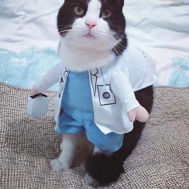 Pet Halloween Costume Funny Dog Cat Doctor Costume Pet Doctor Clothing Funny Cosplay Clothes Dress Apparel Outfit Uniform - Image 2