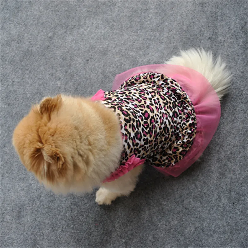 Puppy Apparel Summer Dog Cute Cat Dress Pet Small Clothes Pet Leopard Pet clothes Dog Sleds Training