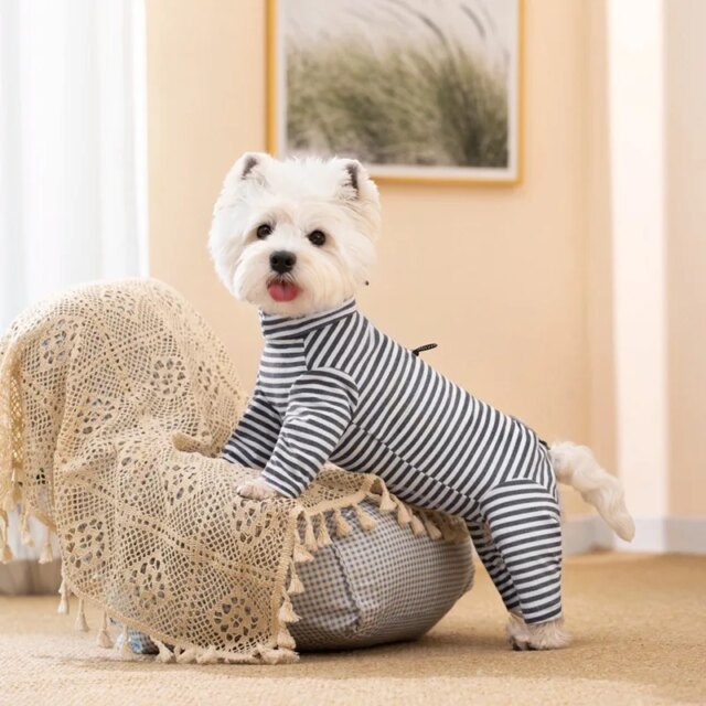 Dog Pajamas for Small Dogs Cats Stripes Dog Clothes Puppy Onesie Dog Christmas Pajamas Jumpsuit Home Wear Pjs 4 Legged Apparel - Image 3