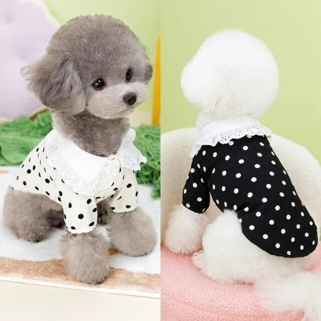 Dog Clothes Cute Polka Dotted Lace Bow Black White Thin Puppy T-shirt Teddy Small Dogs Pet T-shirt Two-Legged Pet Apparels