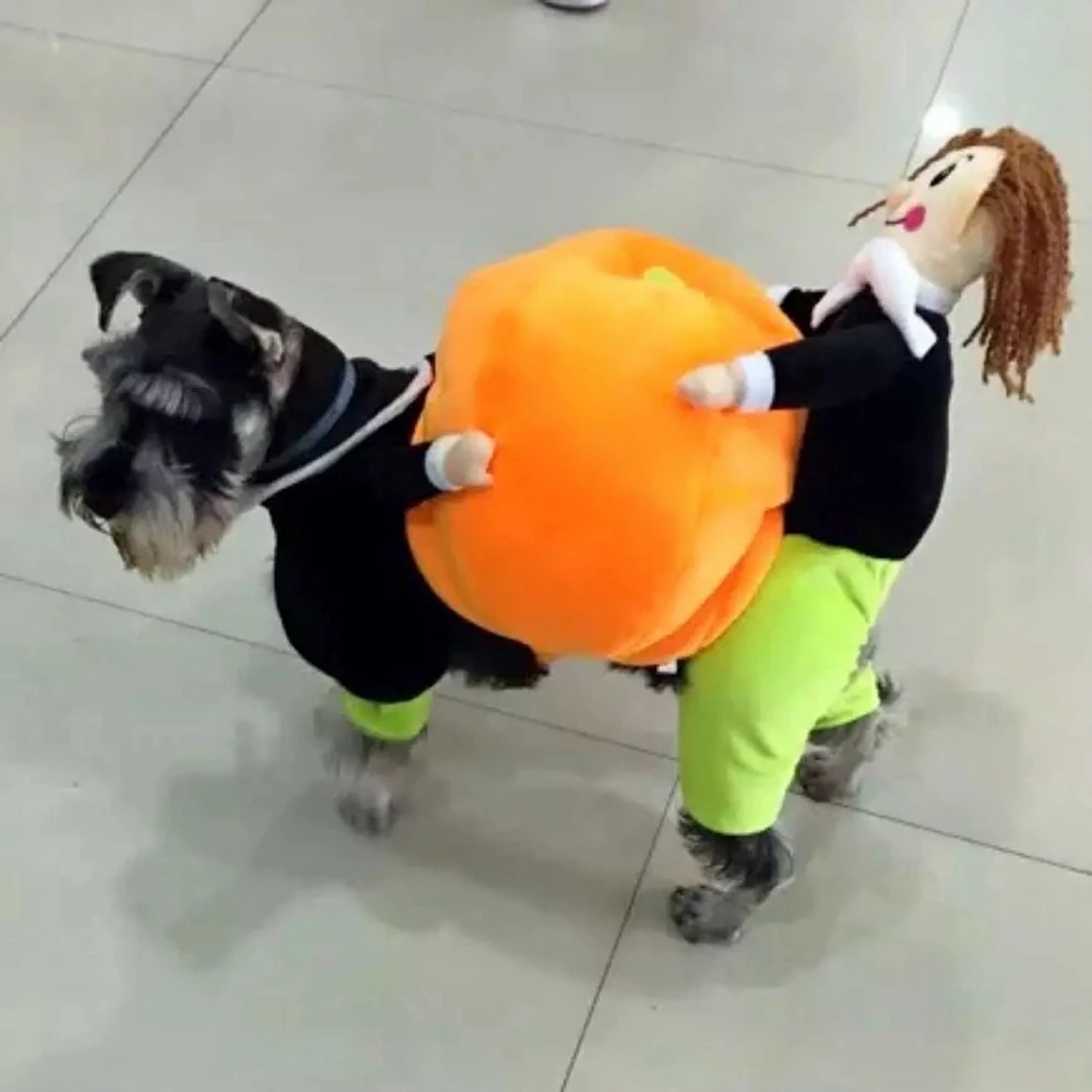 Dog Clothes Halloween Funny Pet Pumpkin Costume Pet Cosplay Special Events Apparel Outfit Dog Cute Cosplay Costumes