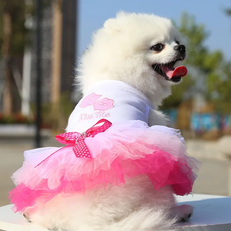 Sweet Dog Princess Dress for Small Dogs Spring Autumn Summer Puppy Dog Lace Tutu Dress Chihuahua Dog Skirt Pet Apparel Dog Dress