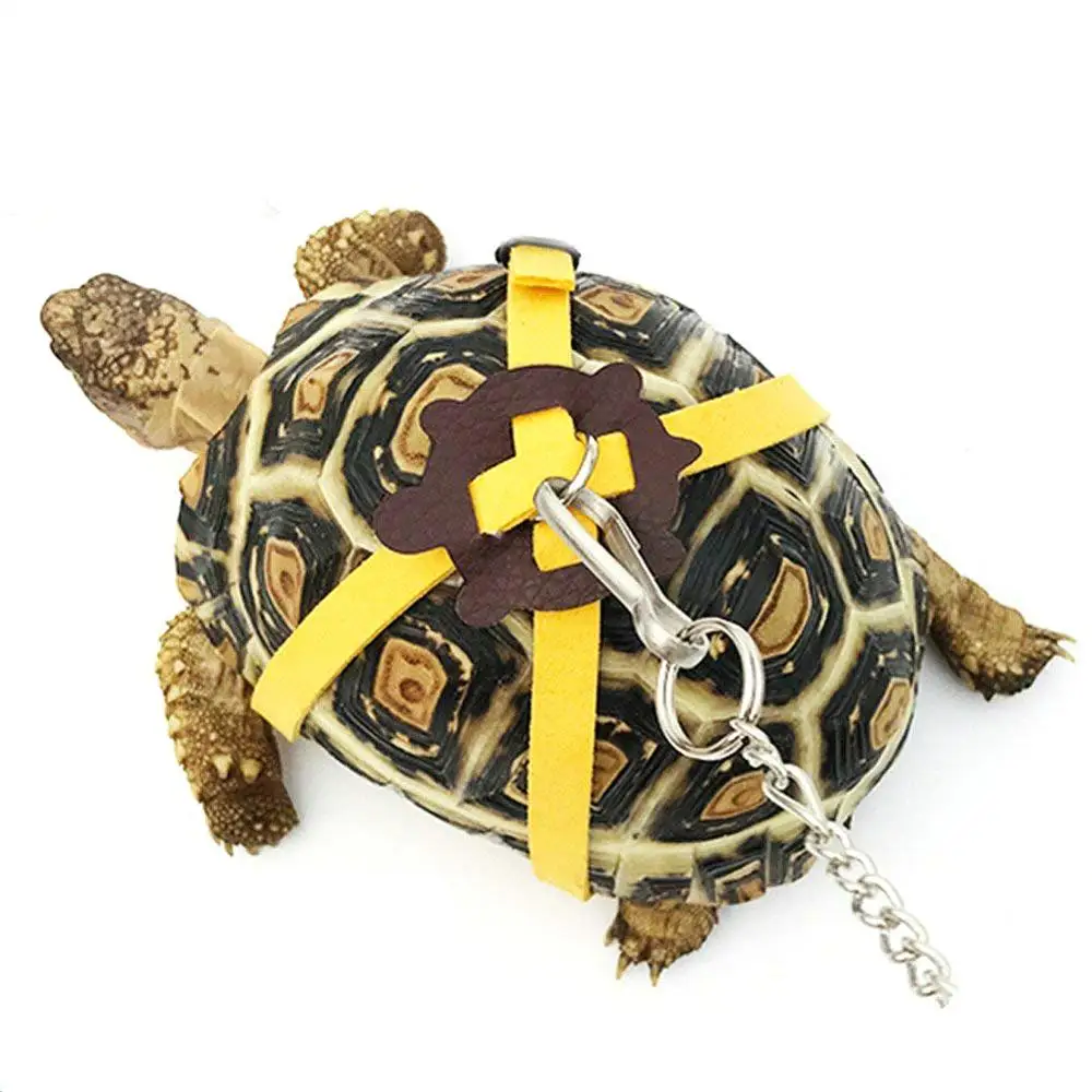 Pet Training Leash Gerbil Cage Cotton Rope Harness Collar Hamster Turtle Traction Rope Small Pet Supplies Wholesale