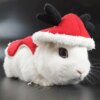 Christmas Bunny Vest Harness Outdoor Leash Set Rabbit Clothing Suit Small Pet Ferret Hamster Small Animal Clothes for Walking - Image 5