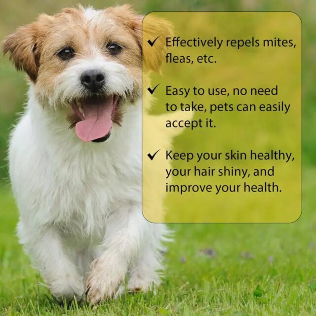 Dog Tick Liquid Cat Tick Control Pet External Drops Long Lasting Comfortable Natural Pet Care Spray For Cats & Kittens - Image 5