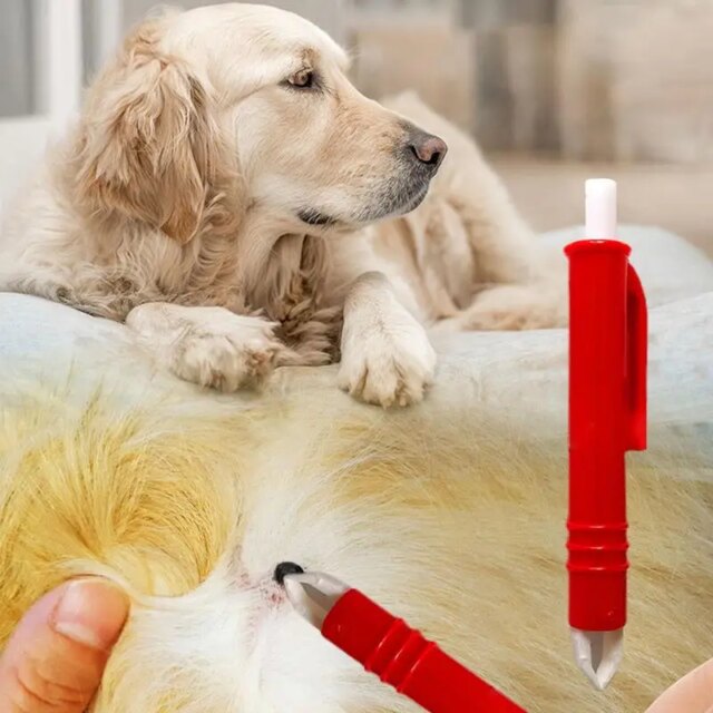 Dog Tick Remover Tool 4 pcs Tick Remover Kit for Cats and Dogs Flea Remover Comb Lice Supplies for Pet Dog Cat Human Horse - Image 3